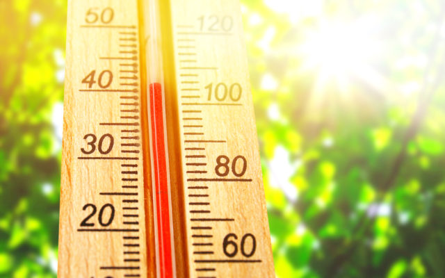 2019 Wrapped Up Hottest Decade on Record