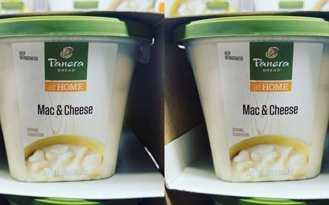 Costco Is Selling Cups Of Panera Mac & Cheese