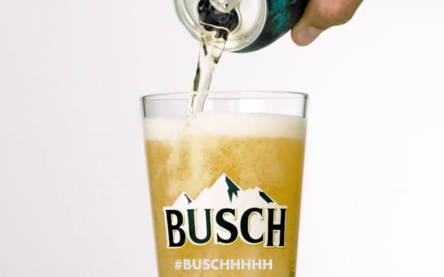 Busch Will Give You 3 Months of Free Beer for Fostering A Dog During The Pandemic