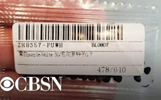 Residents of 28 States Find Mysterious Seeds in Mailboxes