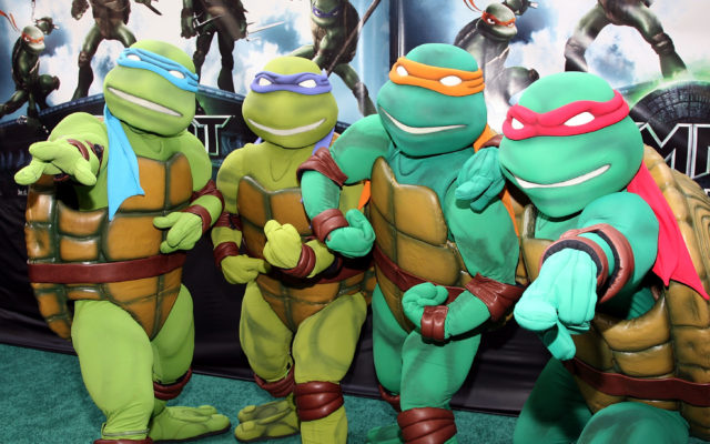 Could We Get a New Teenage Mutant Ninja Turtles?
