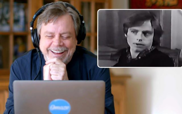 Mark Hamill’s Dogs Have Joined Twitter