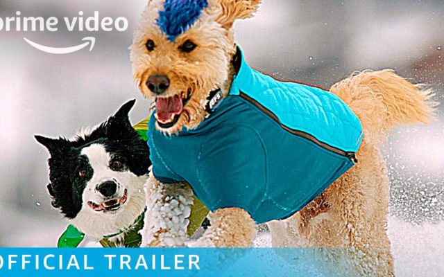 Amazon Prime Launches Trailer for “The Pack”, A Global Adventure With Dogs and Their Owners