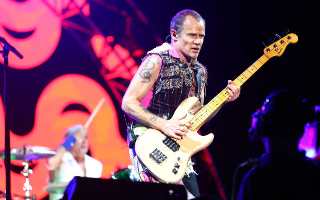 Flea Has Thought About Leaving Red Hot Chili Peppers