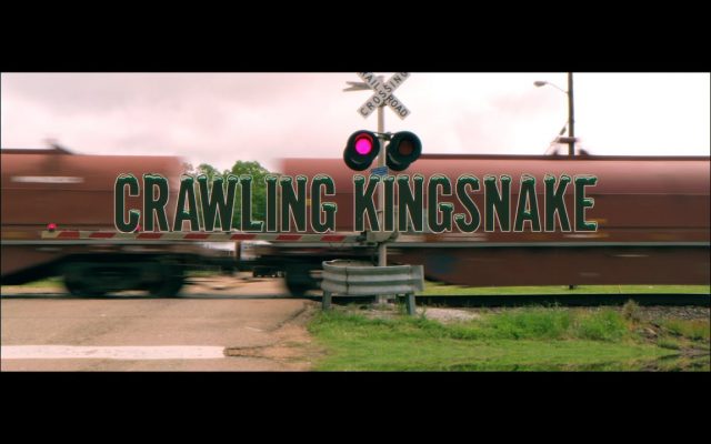 Video Alert: The Black Keys – “Crawling Kingsnake”