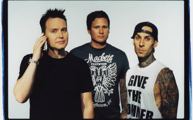 Artists Influenced by blink-182