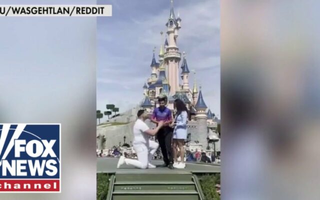 Not So Magical Moment: Disney Apologizes To Couple Whose Marriage Proposal Was Interrupted By Employee