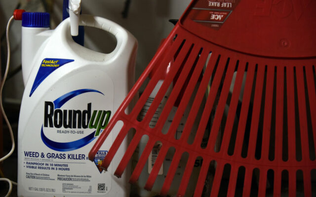 CDC: Cancer-Causing Weedkiller Chemical Found In 80 Percent Of Urine Samples
