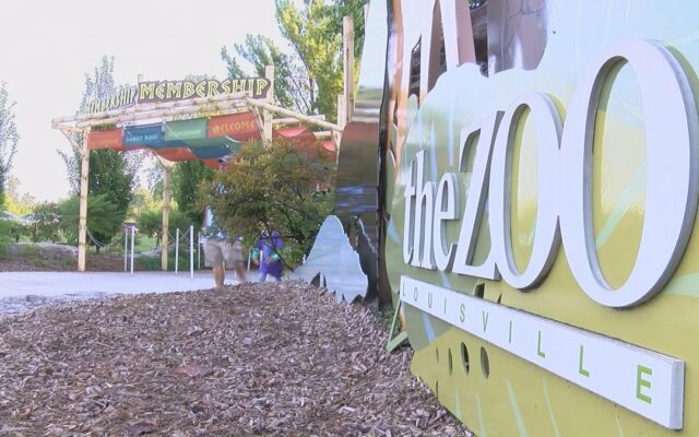 Louisville Zoo Launches New Summer Happy Hour Event