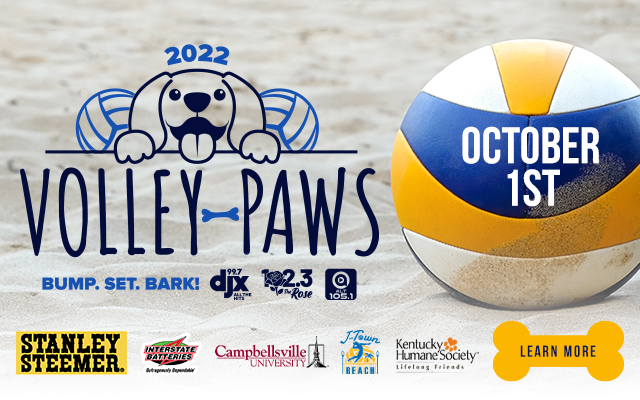 Pooches & Pints: Volley-Paws