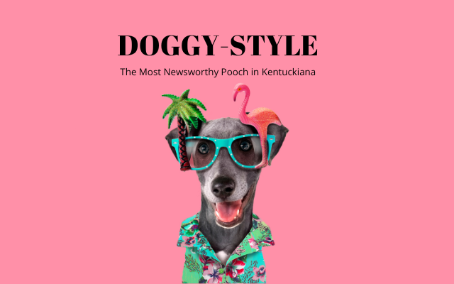 Doggy-Style: Looking for the Most Newsworthy Pup in Kentuckiana!