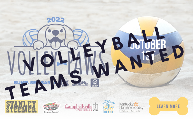 Volley-Paws Volleyball Tournament: TEAMS WANTED