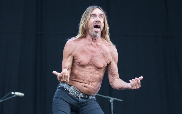 Iggy Pop Says He Will Never Do a Stage Dive Again