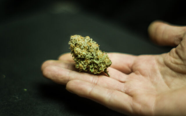 Inflation Won’t Slow Down Marijuana Sales On 4/20